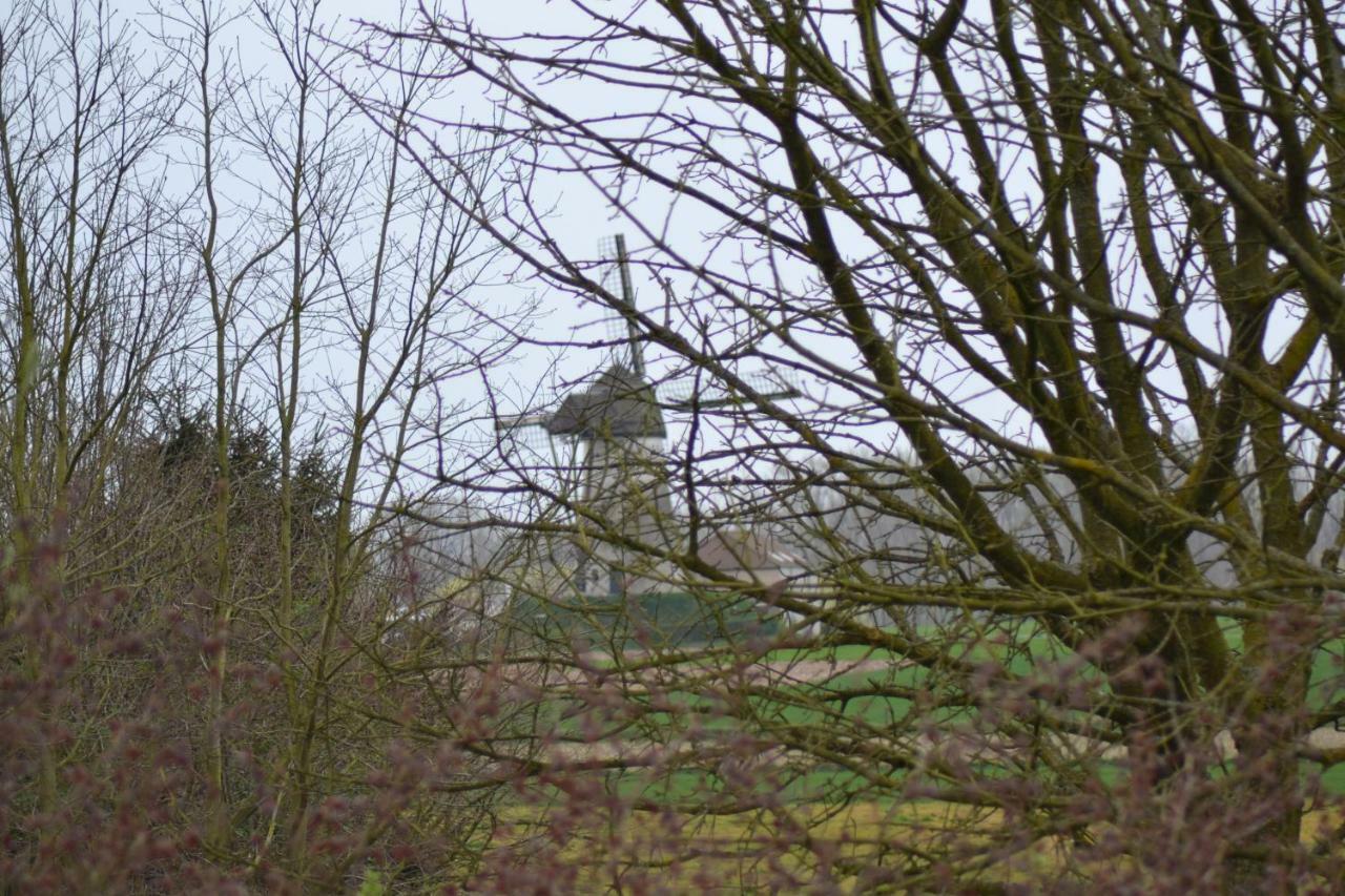 B&B Molenzicht Ninove Dış mekan fotoğraf