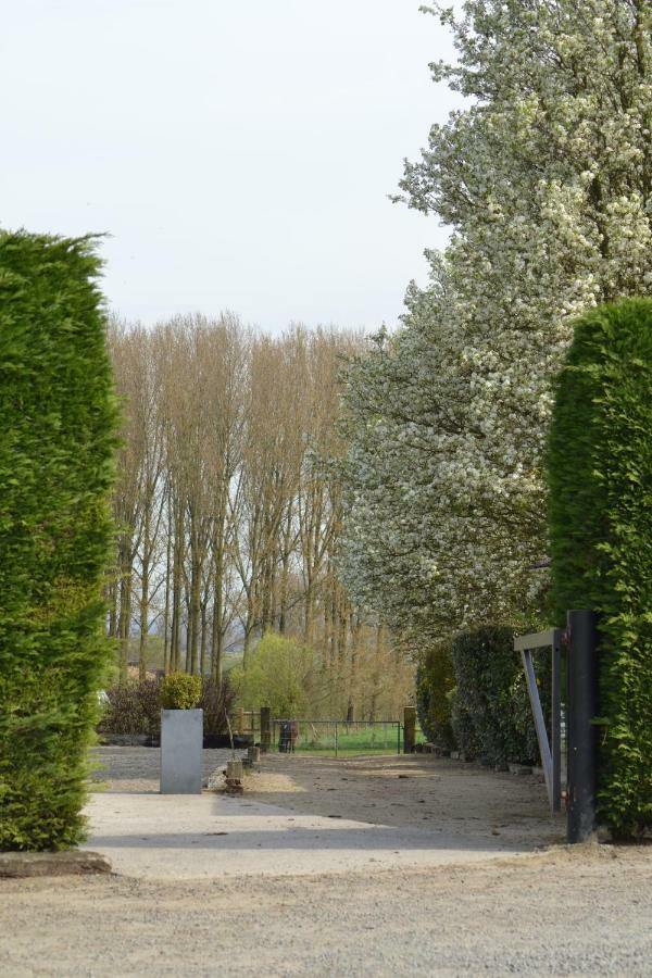 B&B Molenzicht Ninove Dış mekan fotoğraf
